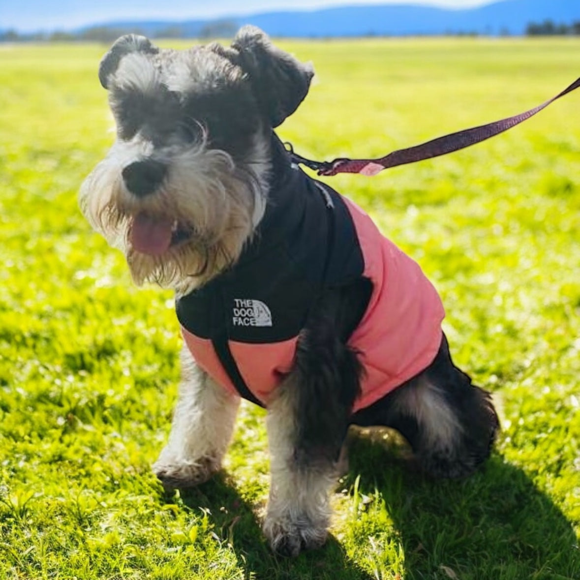 The Dog Face Duck Down Body Warmer Pink The official Dog Face store