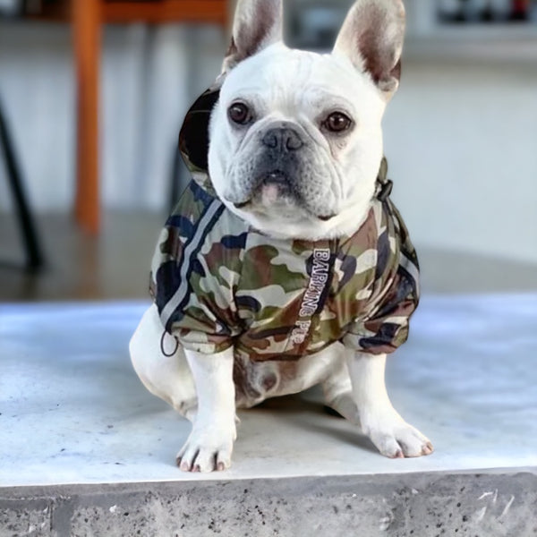 Shark ‘A Barking Pup’ Jacket - Camo