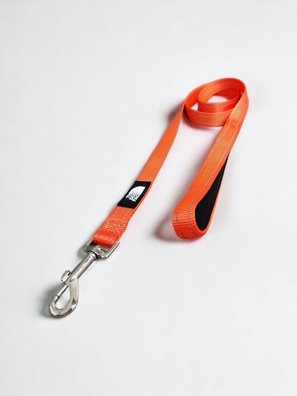 The Dog Face Reflective Leash - Orange